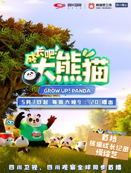 成长吧！大熊猫 海报