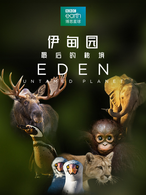 伊甸园：最后的秘境 海报