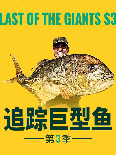 追踪巨型鱼 第三季 海报