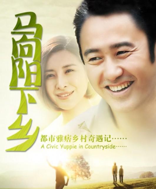 马向阳下乡记 海报