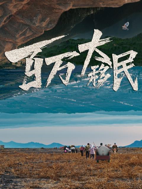 百万大移民 海报