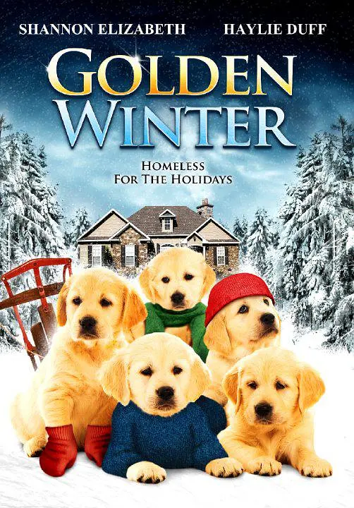 金毛喜迎冬 海报