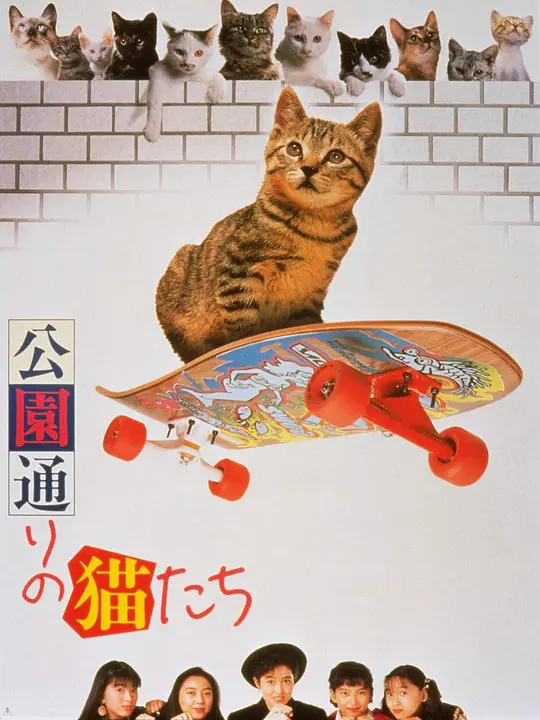 公园路的猫们 海报