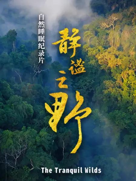 静谧之野 海报