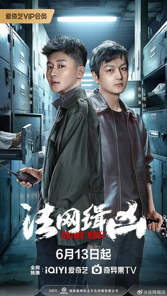 法网缉凶 海报