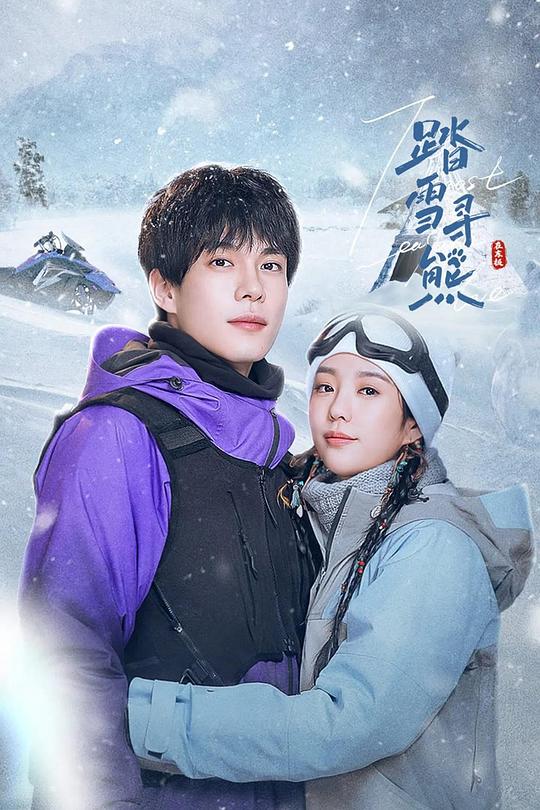 踏雪寻熊 海报