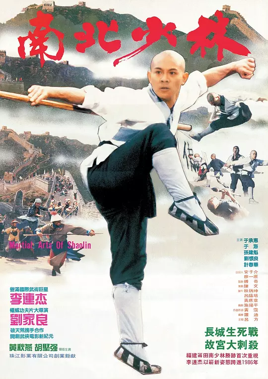 南北少林 海报