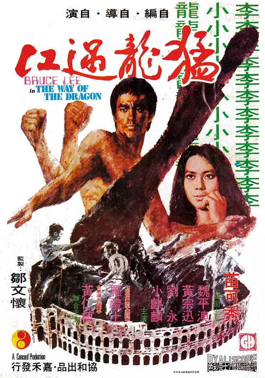 猛龙过江 海报