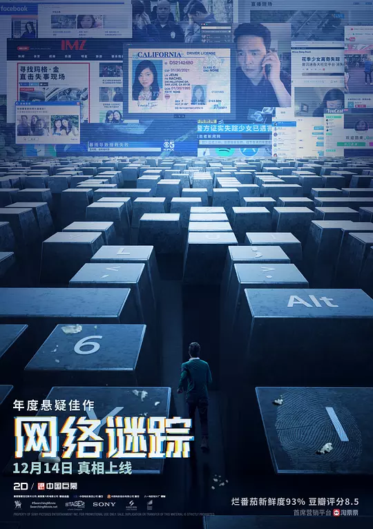 网络谜踪 海报