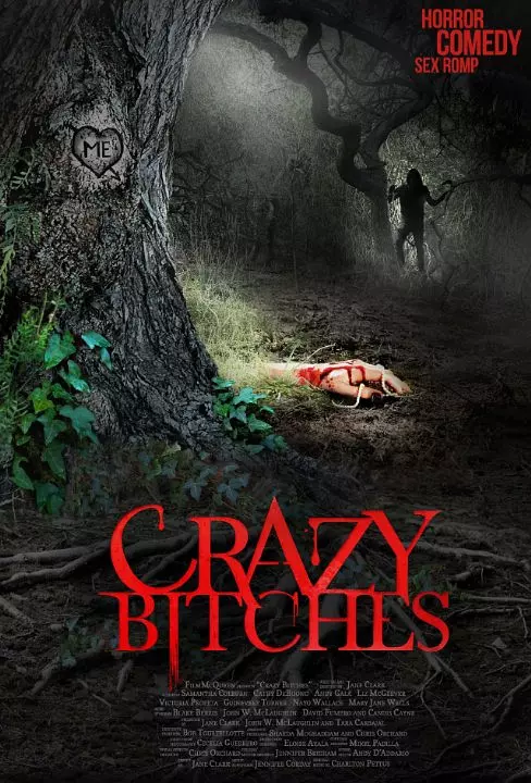Crazy Bitches 海报