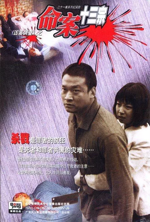 命案十三宗 海报