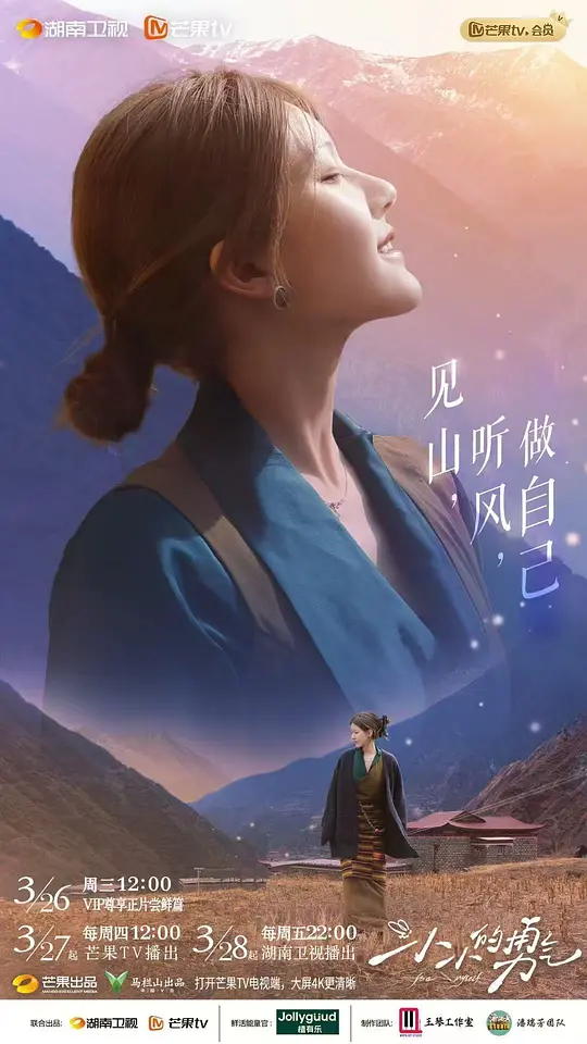 小小的勇气 海报