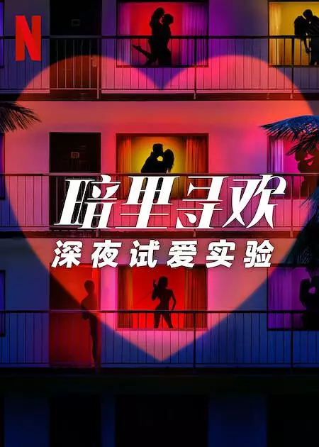暗里寻欢：深夜试爱实验 海报
