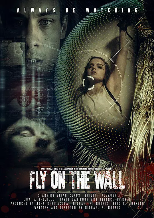 Fly on the Wall 海报