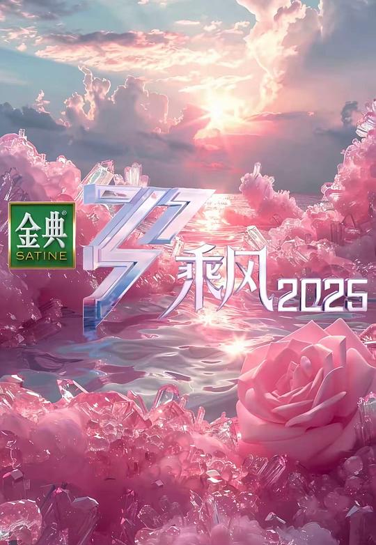 乘风2025 海报