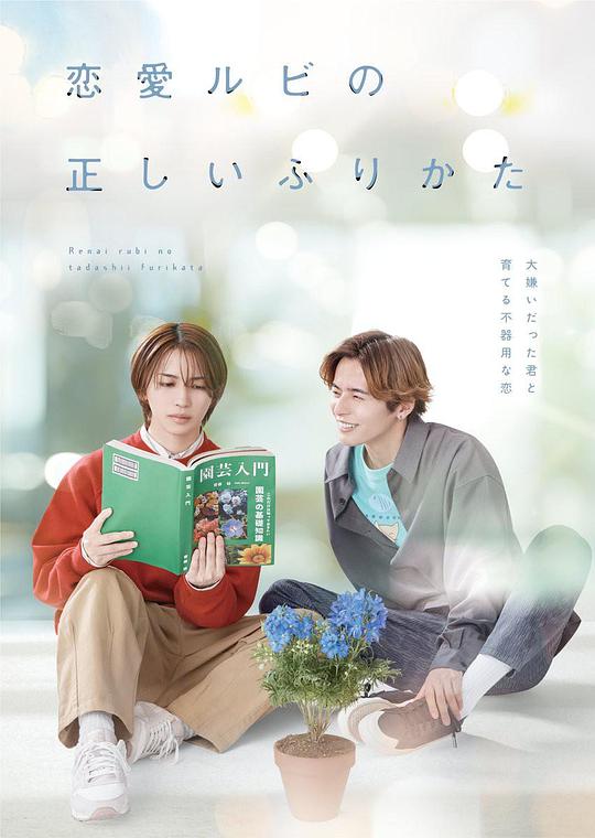 恋爱的正确标记法 海报