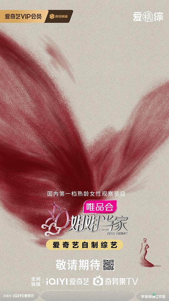 姐姐当家 海报
