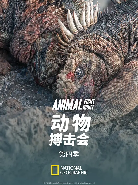 动物搏击会 第四季 海报