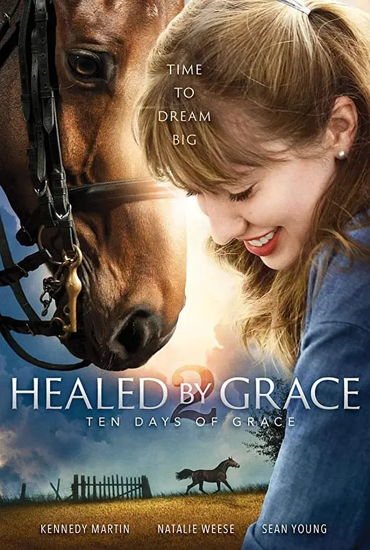 Healed by Grace 2 海报