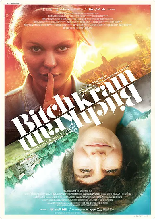 Bitchkram 海报