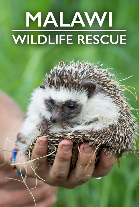 Malawi Wildlife Rescue Season 1 海报