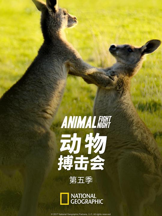 动物搏击会 第五季 海报