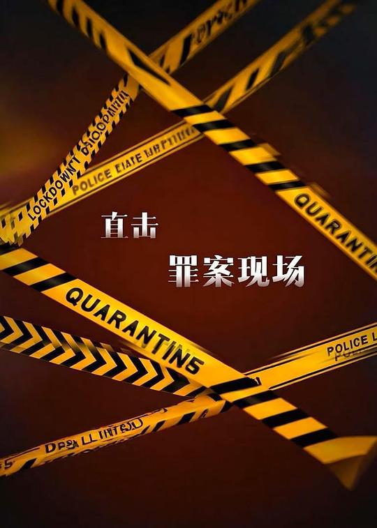 直击罪案现场 海报