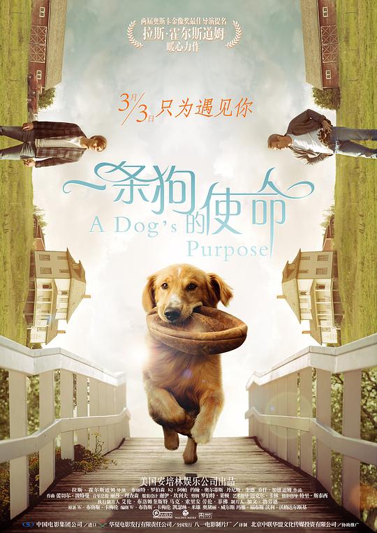 一条狗的使命 海报