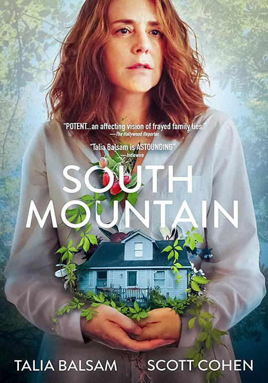 妻子意外的发现 海报