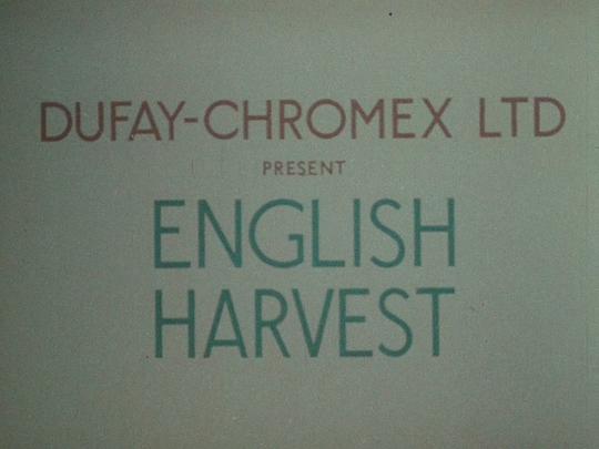 English Harvest 海报
