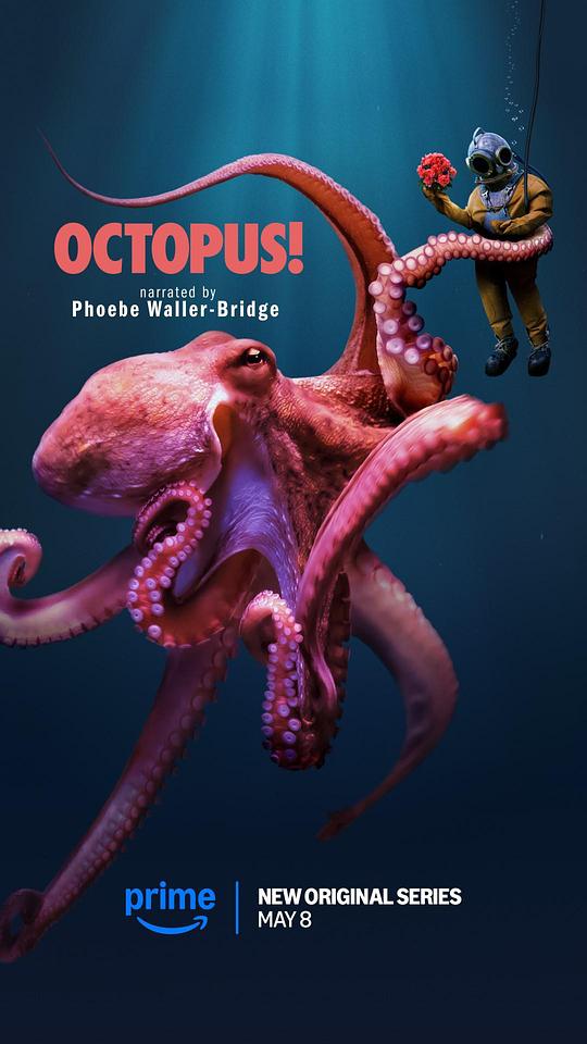 章鱼！ 海报