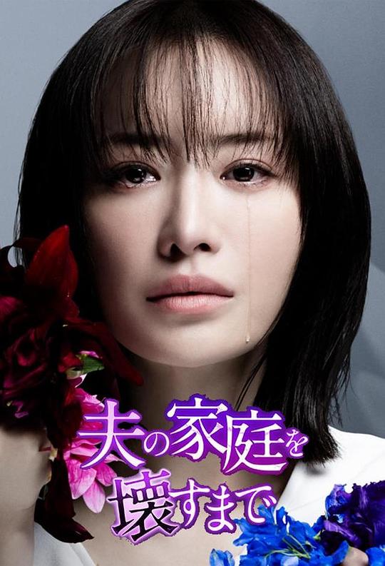 直到破坏了丈夫的家庭 海报