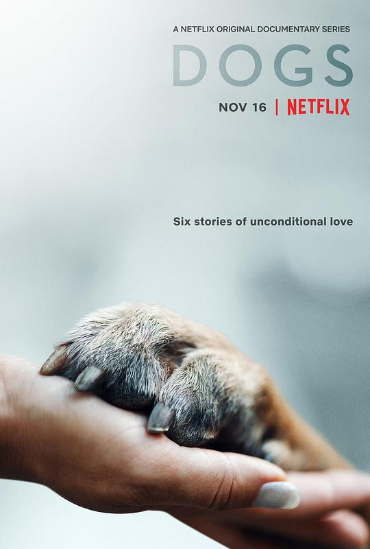 爱犬情深 第二季 海报
