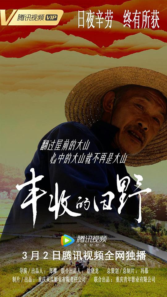 丰收的田野 海报