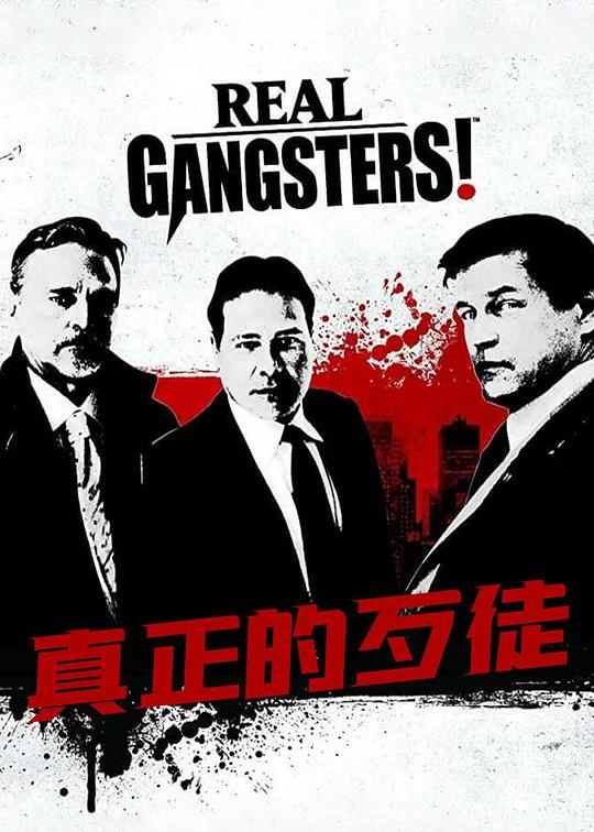 真正的歹徒 海报