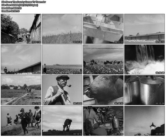 The Country Comes to Town 海报