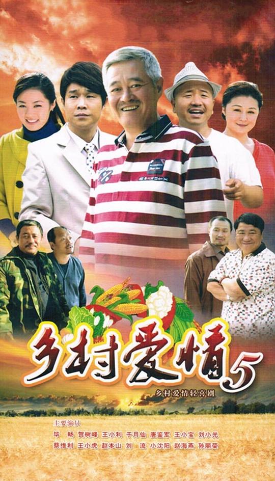 乡村爱情小夜曲 海报