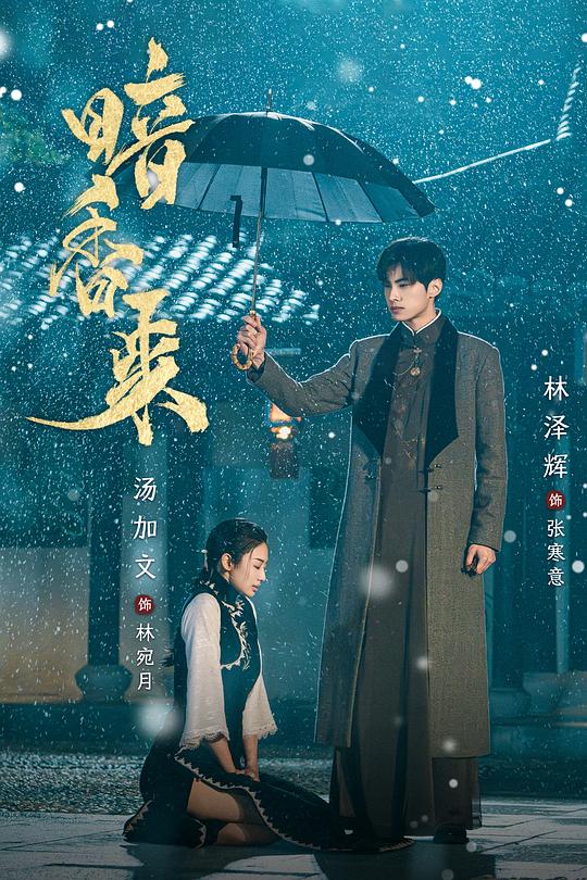 暗香来 海报