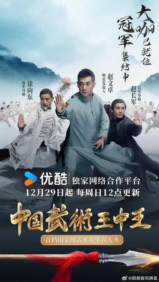中国武术王中王 海报