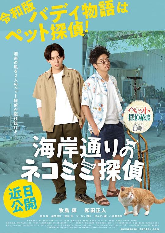 海岸大街上的猫咪侦探 海报
