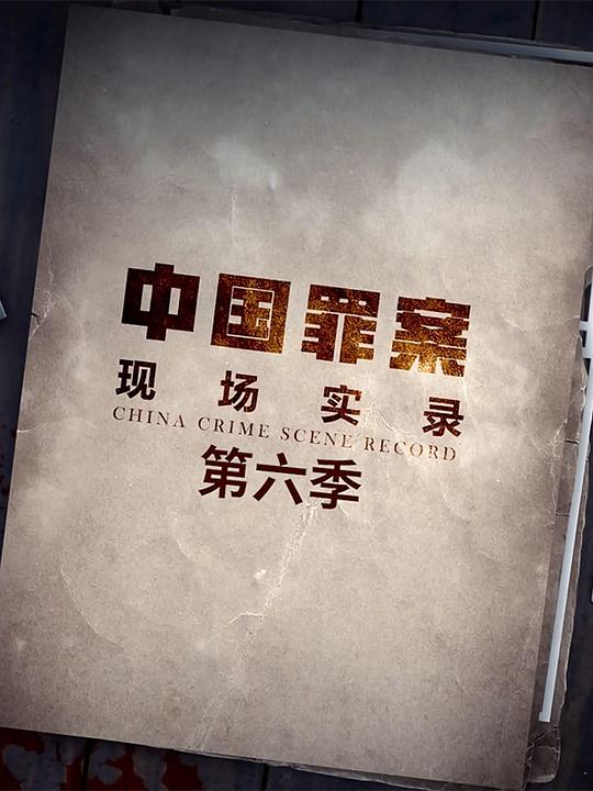 罪案现场实录 第六季 海报