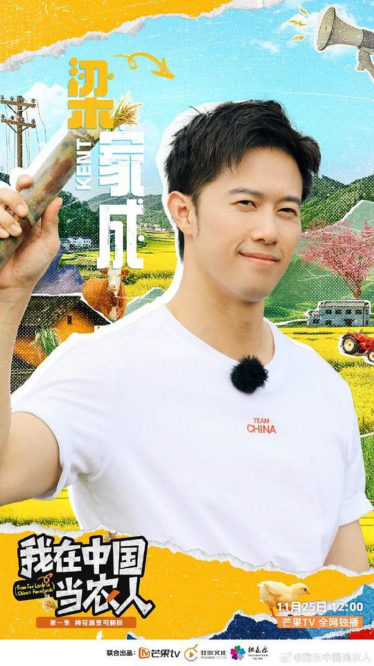 我在中国当农人 海报