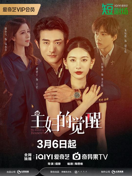 主妇的觉醒 海报