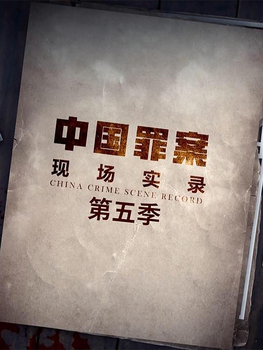 罪案现场实录 第五季 海报