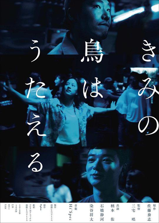 你的鸟儿会唱歌 海报