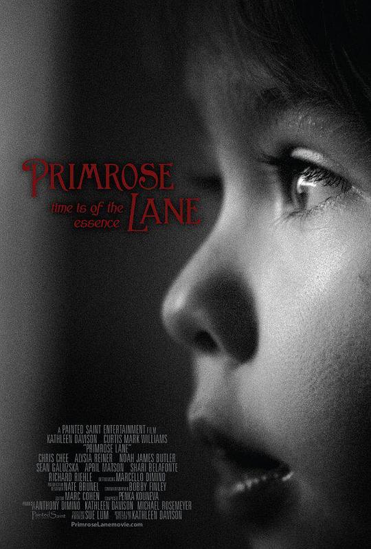 Primrose Lane 海报