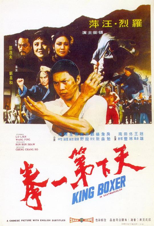 天下第一拳 海报