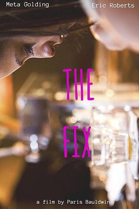 The Fix 海报