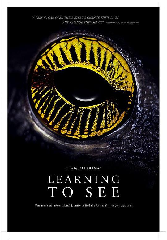 Learning to See: The World of Insects 海报