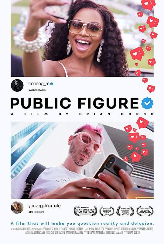 Public Figure 海报